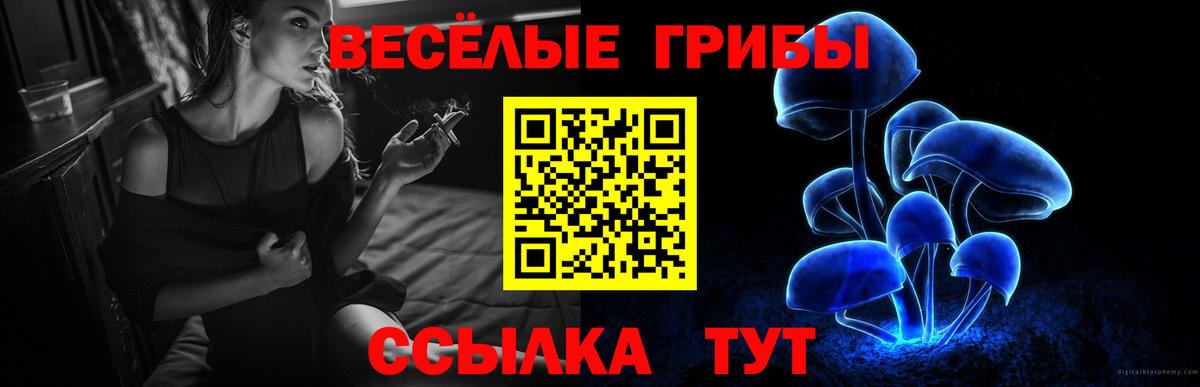 Выборг  Галлюциногенные грибы прущие грибы  Вход с VPN  Галлюциногенные грибы GOLDEN TEACHER 